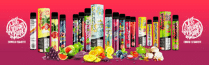 World Wide Vapes bietet dir eine breite Auswahl an absoluten Trendsettern, unter anderem die neuen 187 Straßenbande Einweg E-Zigaretten